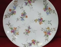 Plato Limoges Pared Cod 10262