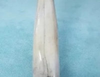 Daga Hoja sol Cod 12766