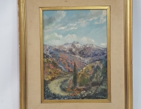 Galdiz el Rulo Cordillera Andina 35 x 25 cms Cod 16210