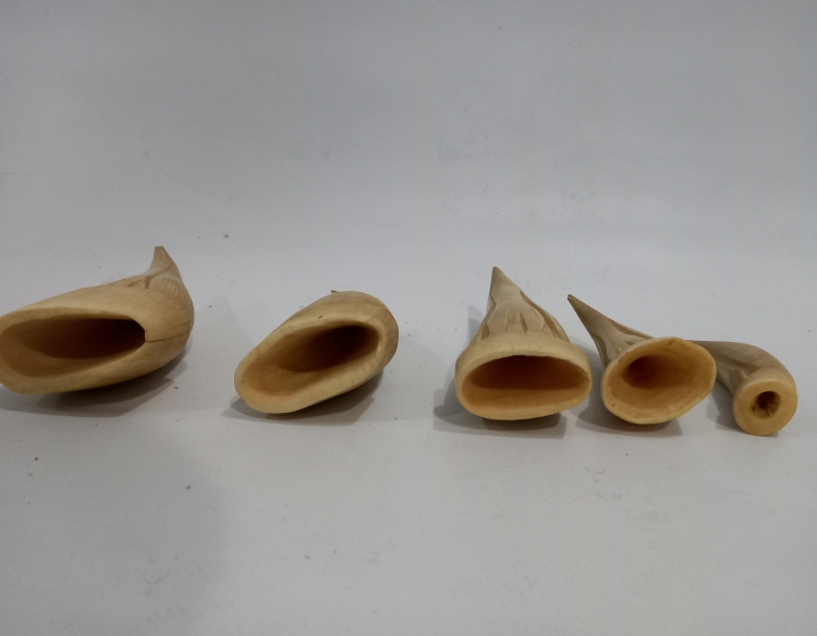5 dientes de tiburon tallado figura pinguinos c 31686
