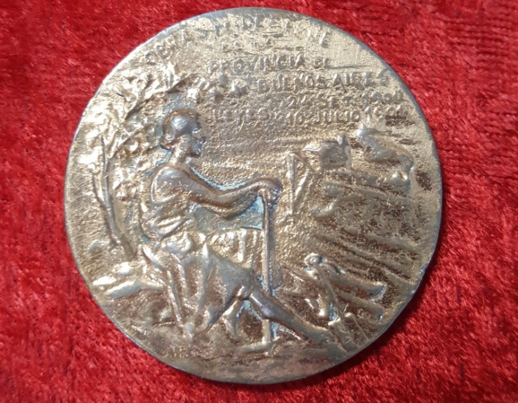 Medalla Prov. Buenos Aires Obras De Desagüe Cod 31908