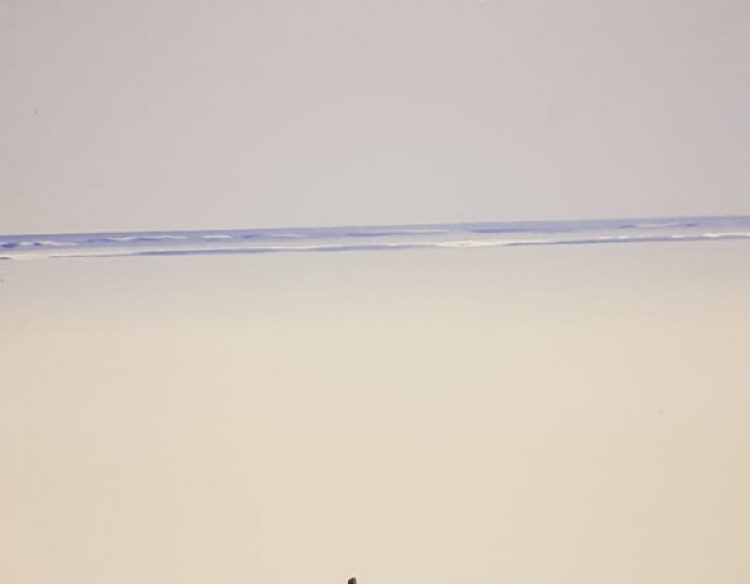 Boat on a Beach