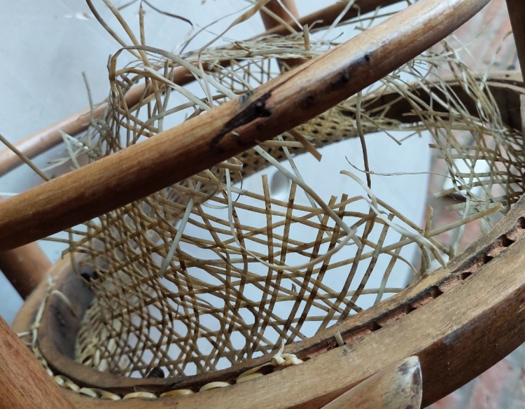 Sillas Thonet para restaurar