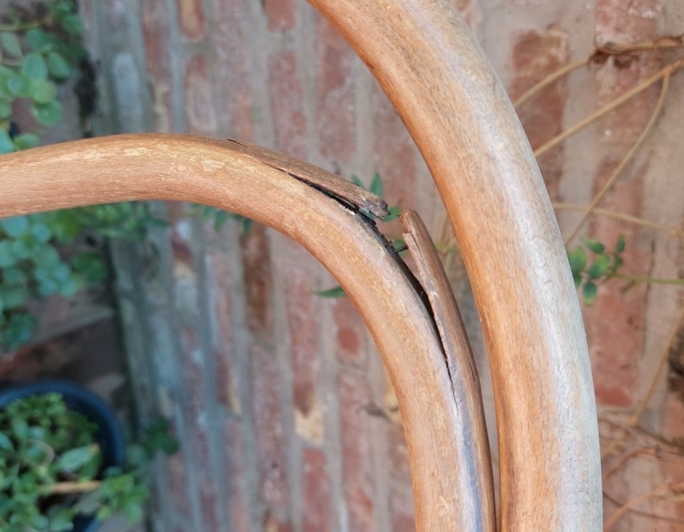 Sillas Thonet para restaurar