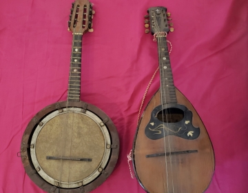 VENDO BANJOLINA Y MANDOLINA