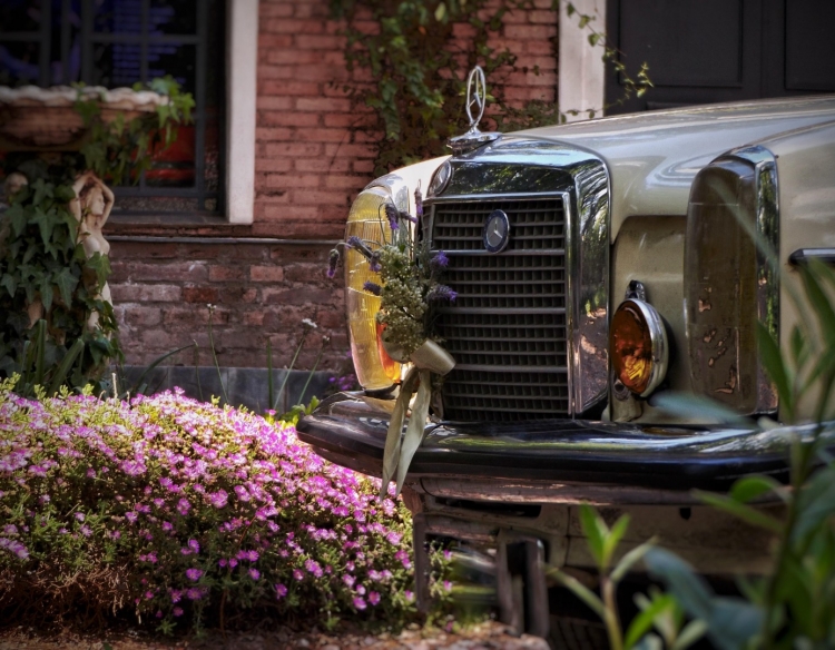 Alquiler Autos Clasicos Para Eventos - Mendoza