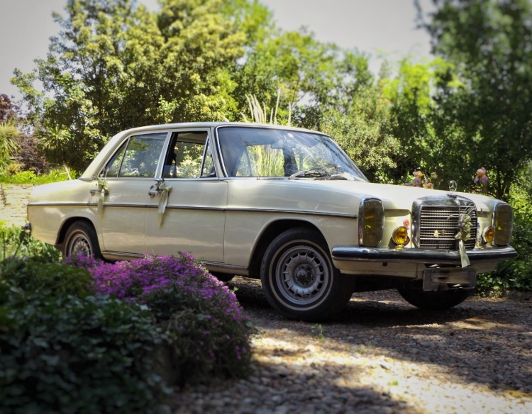 Alquiler Autos Clasicos Para Eventos - Mendoza