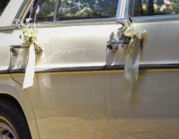 Alquiler Autos Clasicos Para Eventos - Mendoza